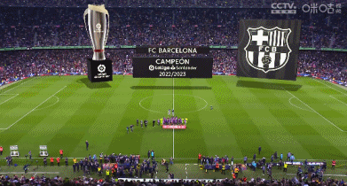 波切蒂诺：未来可能重返英超；我在蓝军的处境与马雷斯卡不同